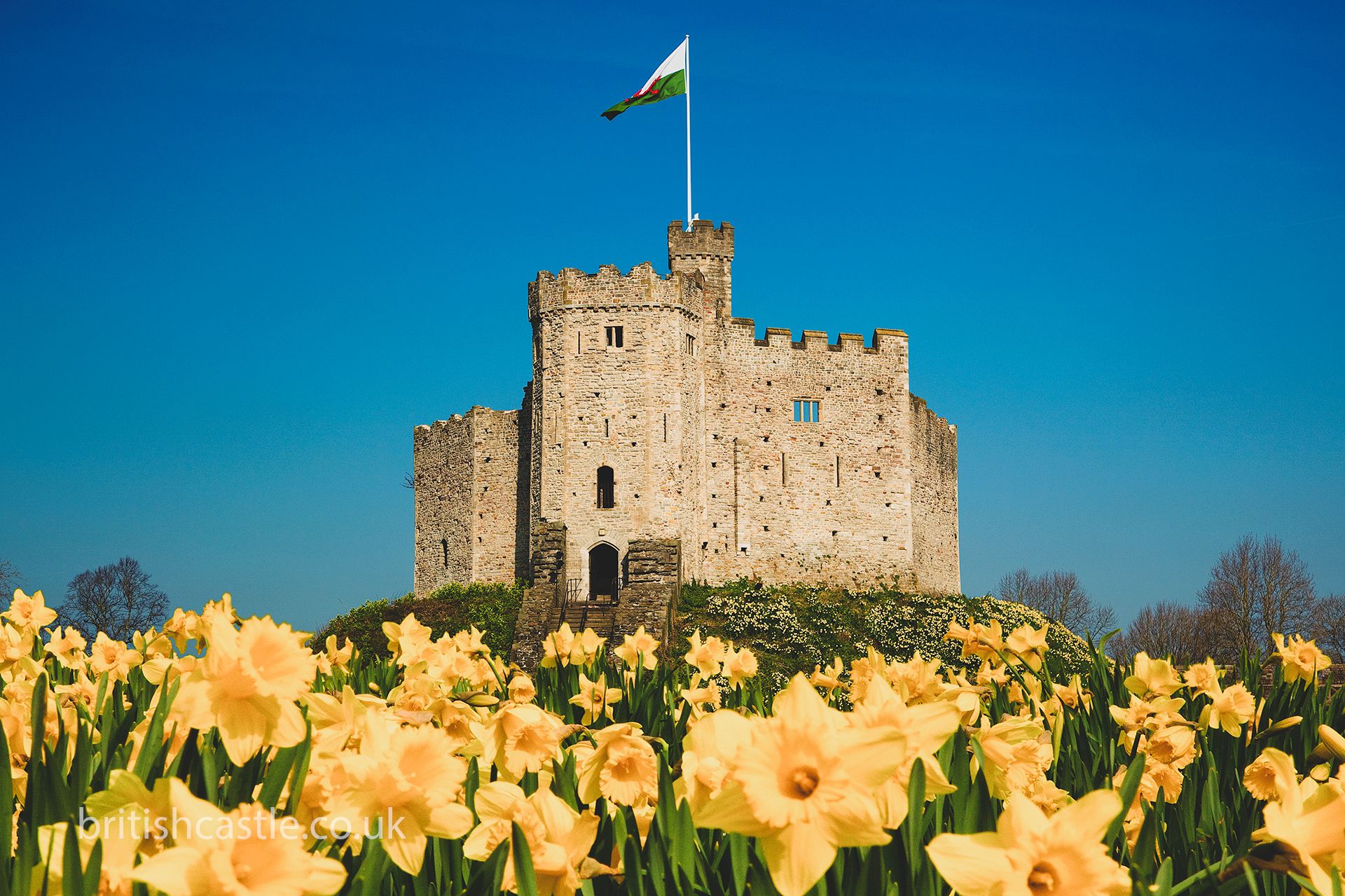 cardiff castle visit